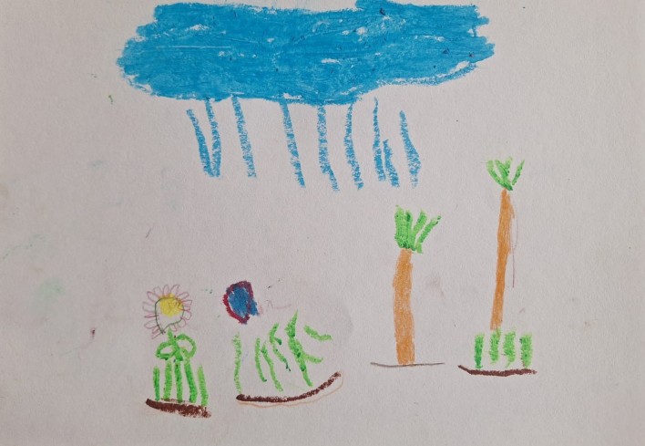 Lietus visam, kas uz zemes. #16860